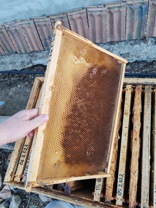 Vând cutii de stupi orizontali pe 18 rame