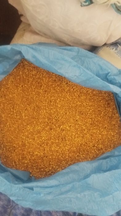 Vând polen crud și uscat