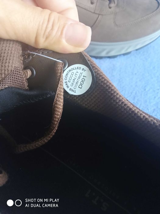 Ecco coretex номер 41.