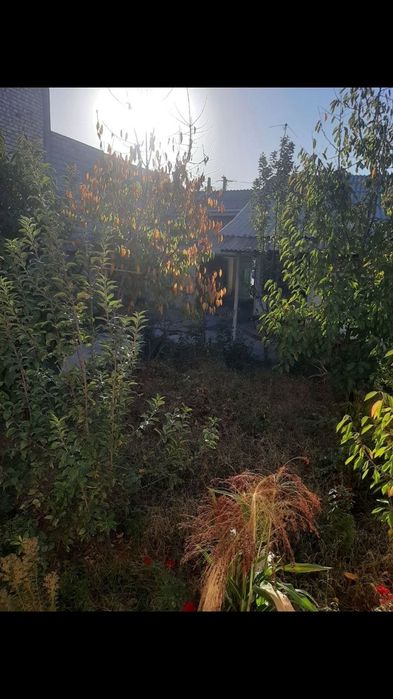 Участка Янгиабад