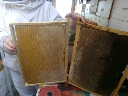 Miere de albine naturală .