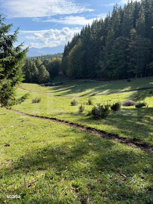 Teren intravilan 28 Ari zona Colibita