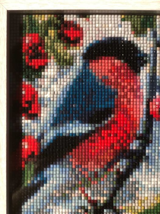 Диамантена мозайка "Червенушки"