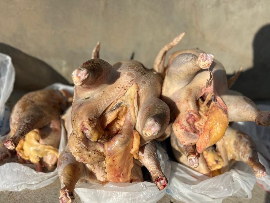 мясо индеек . индюк еті