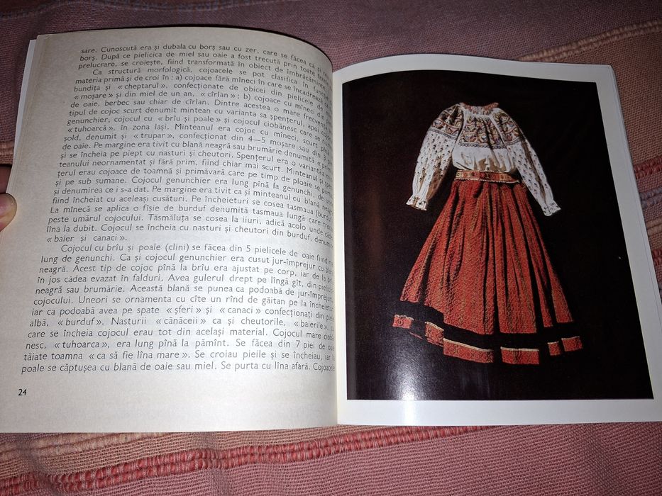 Portul popular din zona IASI - Emilia Pavel