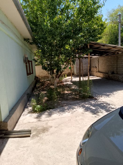 Yer uchastkasi bilan o'pshi 54000$ tezda sotilishi uchun beriladi