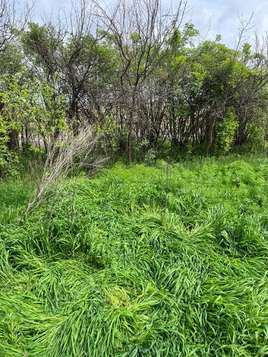 Дача в Арысь за Дендро парком