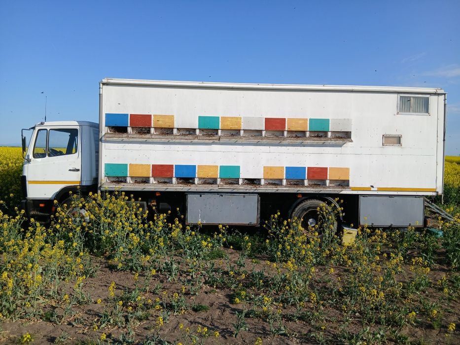 Camion apicol Mercedes