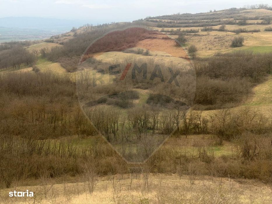 Teren agricol 18.800 mp în Crișeni, lângă Vurpăr