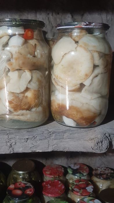 Продам Грибы Грузди маринованые