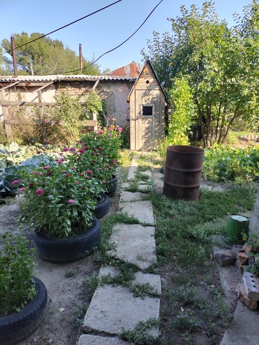 Продам дом на берегу Иртыша