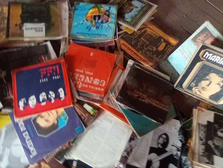 Colecția de volume  Adevarul  și discuri vinil