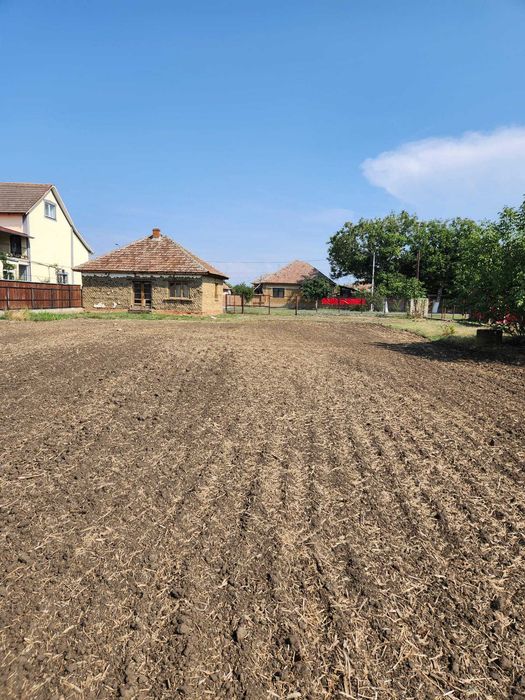 Teren intravilan 7612 mp Curtici – 26m front stradal, utilități, acces asfalt