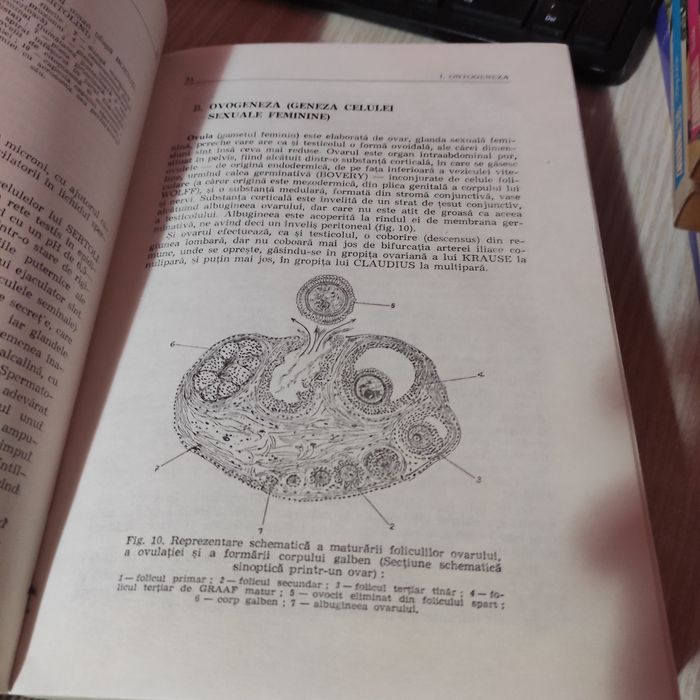 Cărți licență medicina kinetoterapie