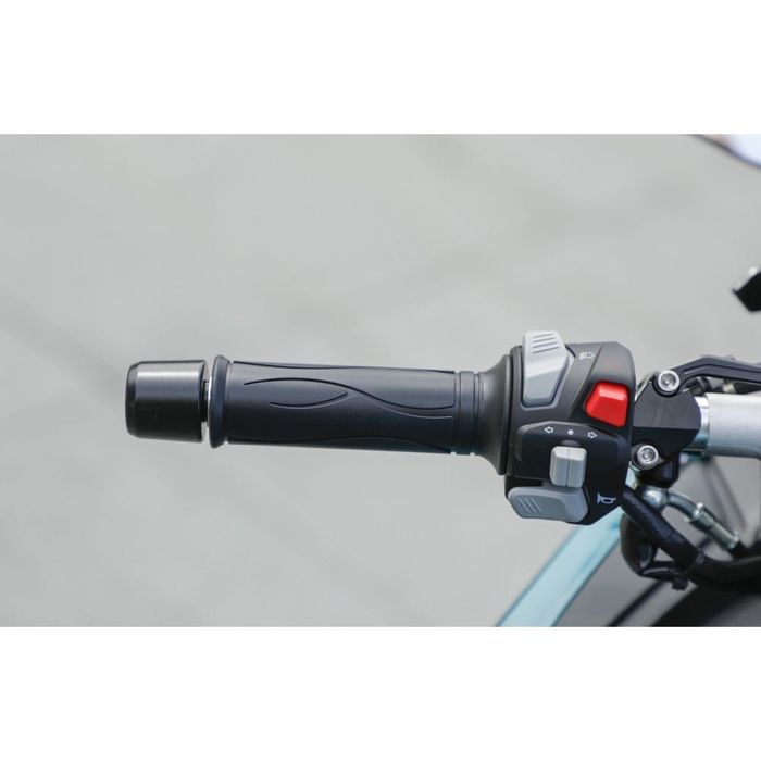 Longzu Panigale S Pro