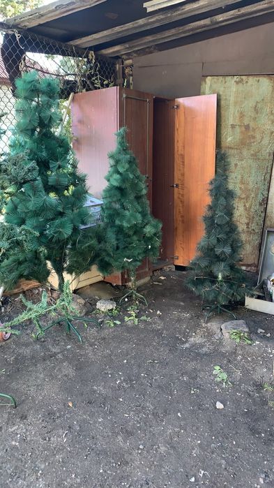 Продам елки новогодние