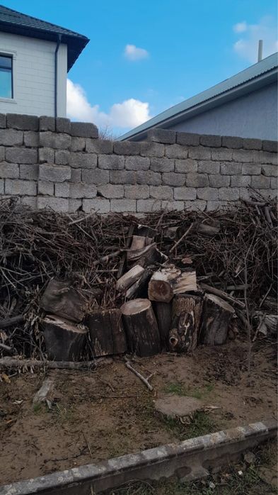 Ағаш отын кесілген дайын