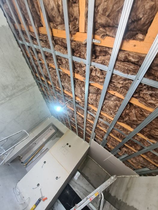 Constructor profesionist