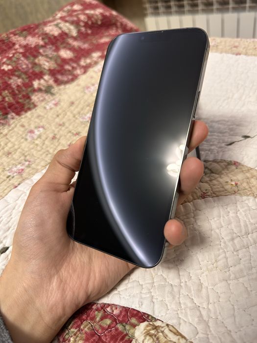 Iphone 13 pro max ideal