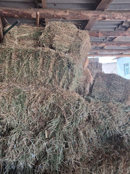 Срочна продам!!