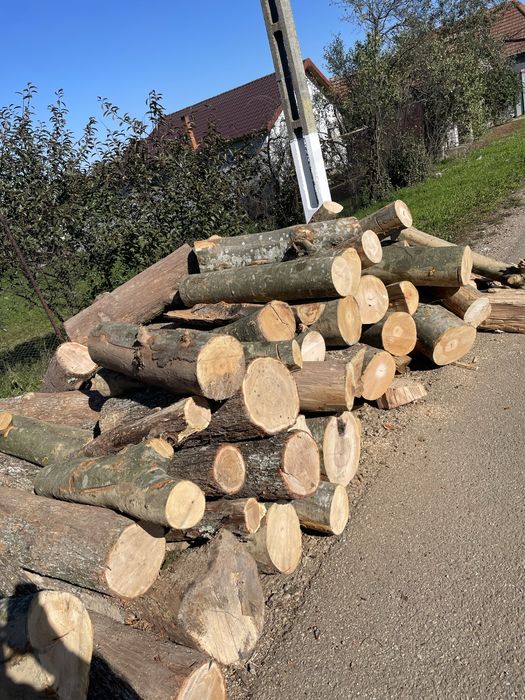 Vindem lemne de foc esențe tarii transportul gratuit