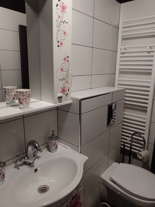 Garsoniera decomandata zona Far/Bila