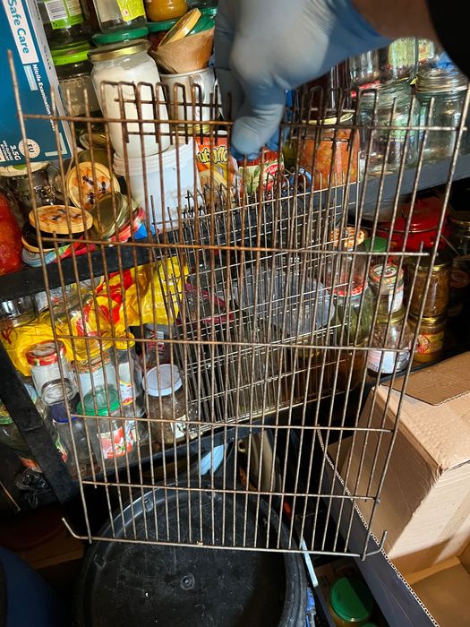 Centrofuga za med центрофуга за мед