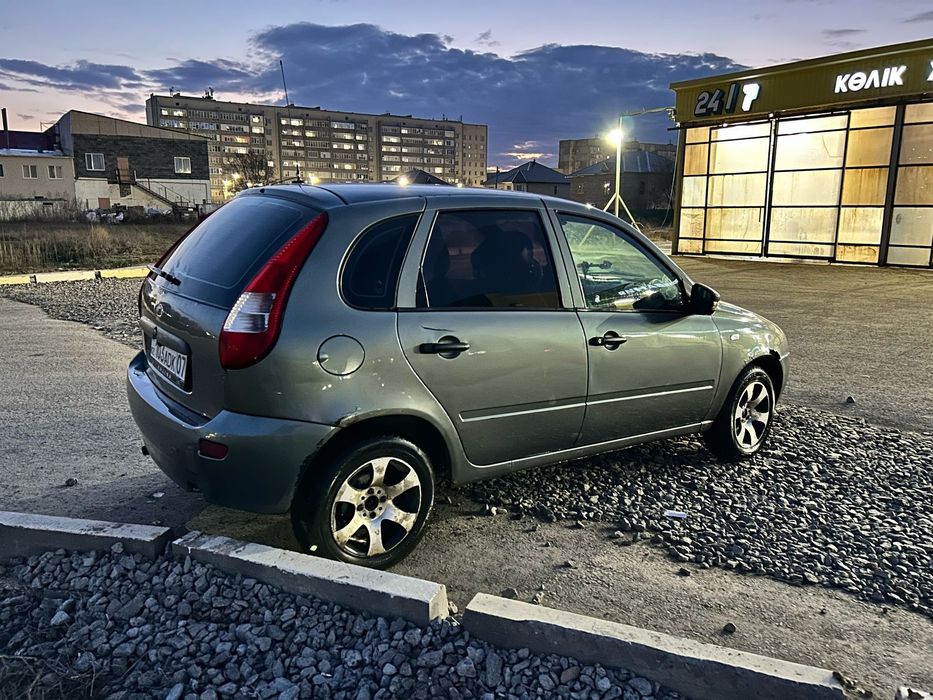 Калина 2009жылғы