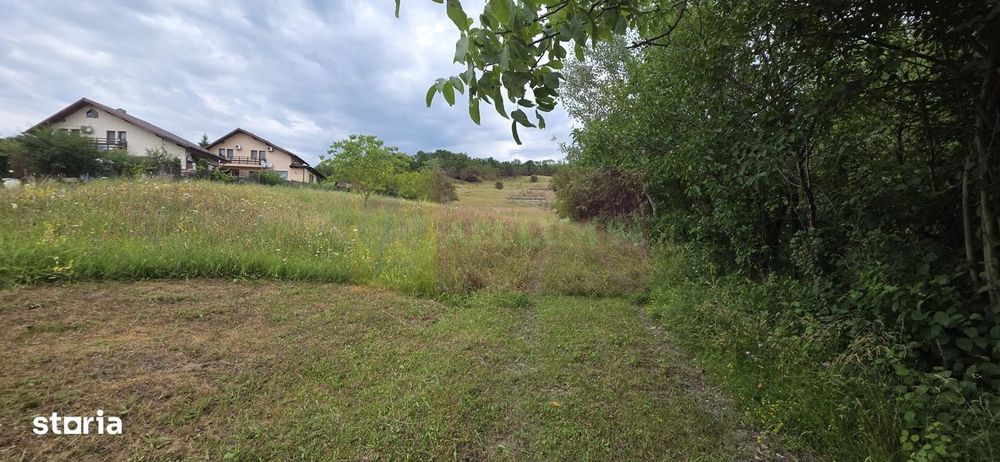 Teren de vanzare in Campina, Muscel