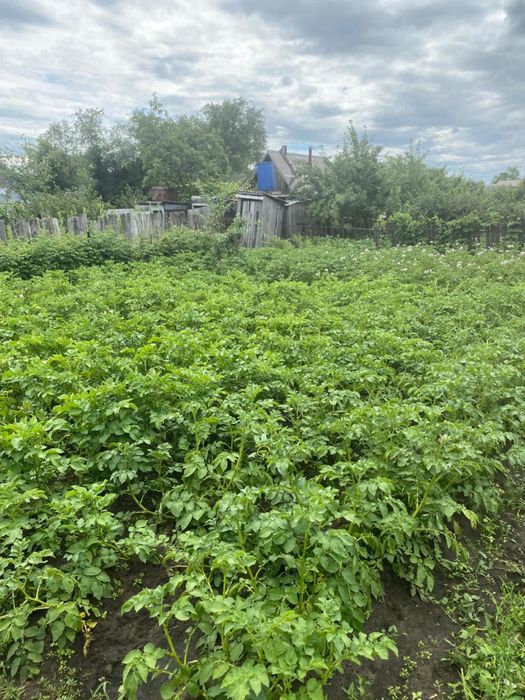 Продам дачу, 18 маршрут