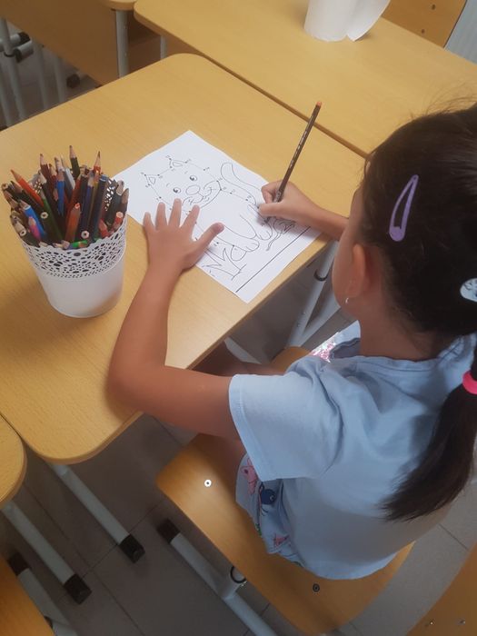 Ofer pregătire/meditații pentru învațământul primar și preșcolar