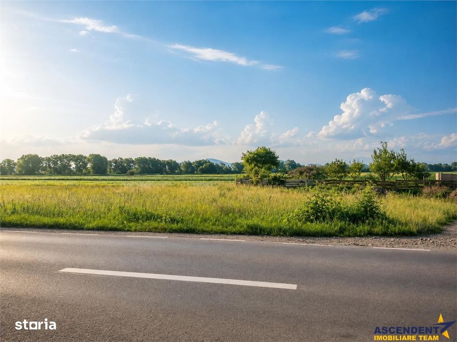 Teren intravilan 10.000 mp, parcelabil, plan, acces asfaltat, Bod, Bra