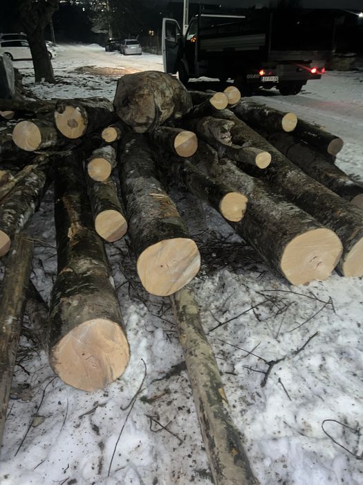 Vand lemne de foc fag