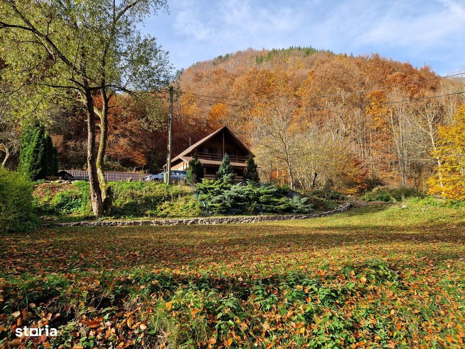 Casa de vacanta in inima naturii – Valea Bratcutei, jud. Bihor