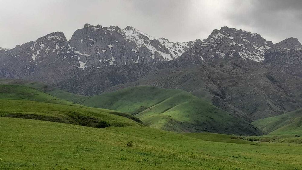 Срочно продается фазенда