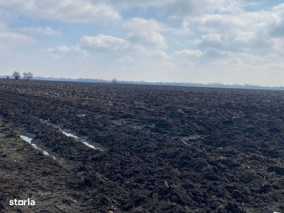 Oportunitate!Teren de vânzare – Comuna Răzvad, Sat Valea Voievozilor