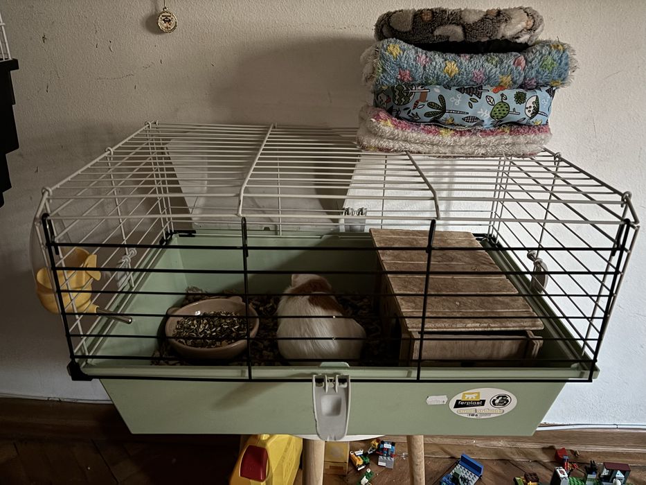 Donez - livrare pesonala Ploiesti