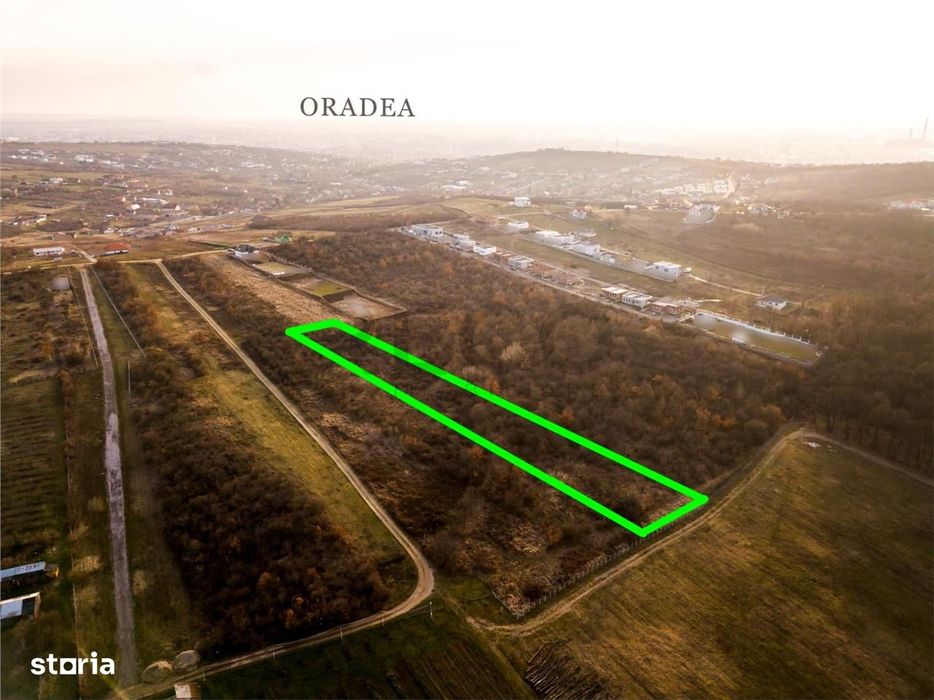 Reco Teren intravilan in Saldabagiu de munte 4333MP