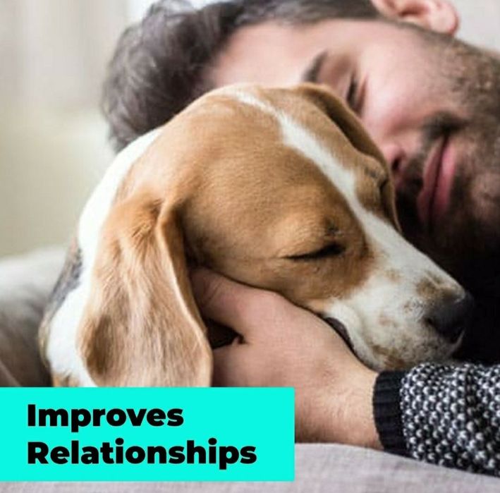 Jucarie pentru catei