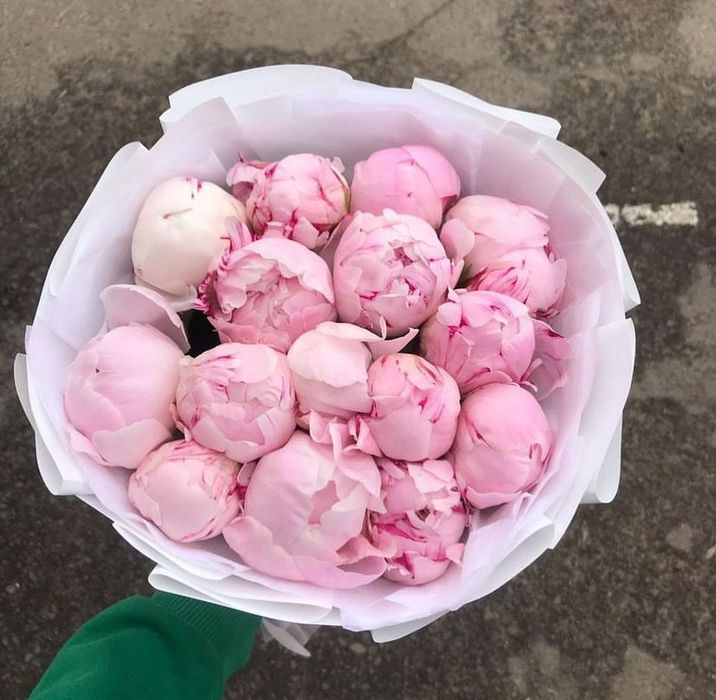 Пионы, Гортензии, Розы акция