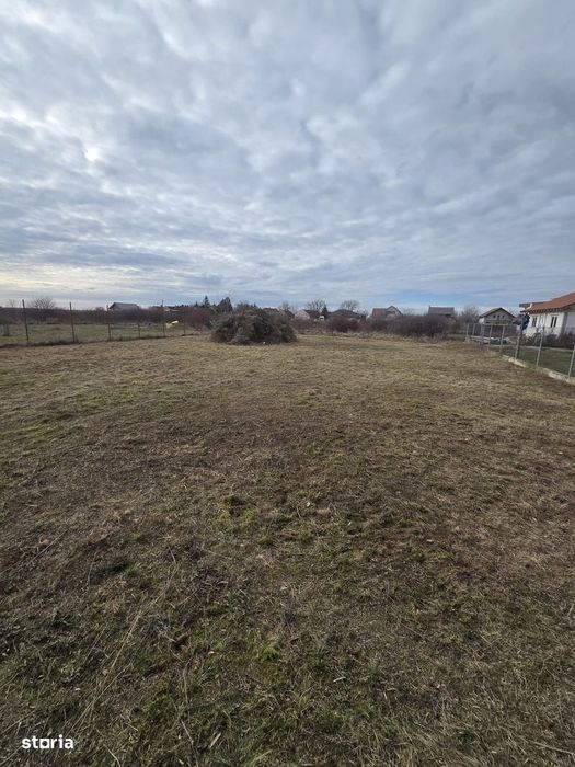 Loc de casa 500 mp, F.S. 20 ml, loc. Bodrogu Nou (com. Zadareni)