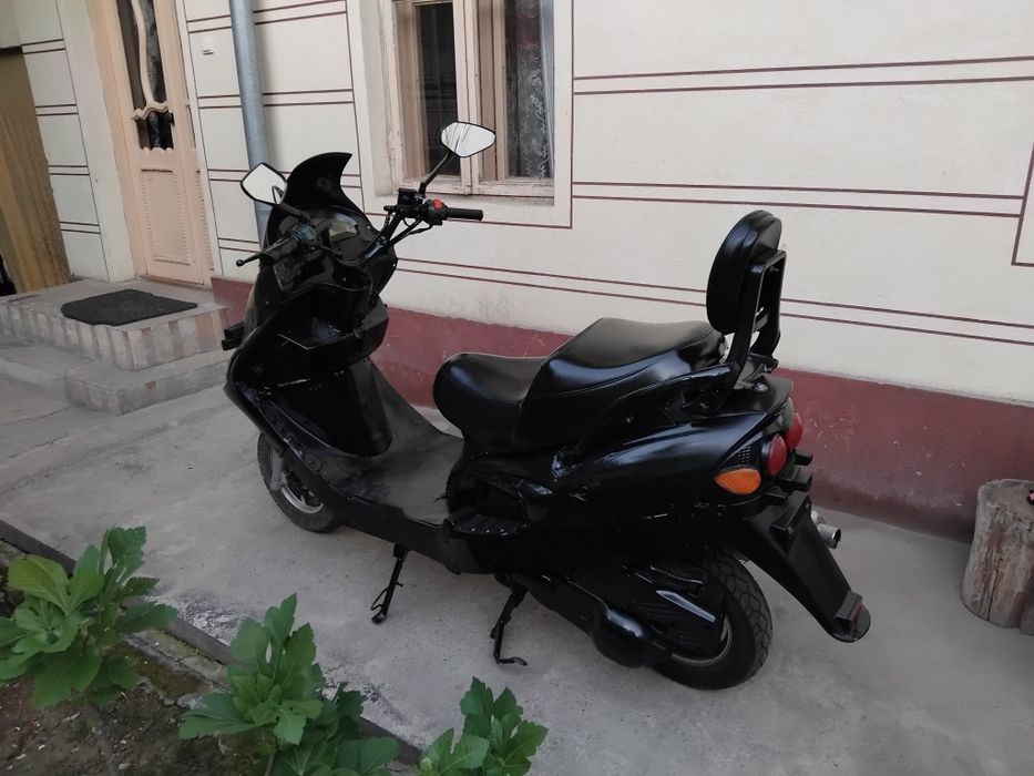 Irbis sukutir sirochna sotiladi