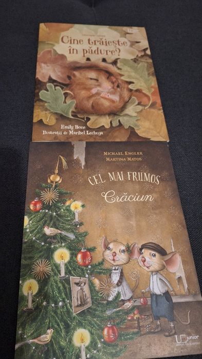 Carti pentru copii de 4-5 ani