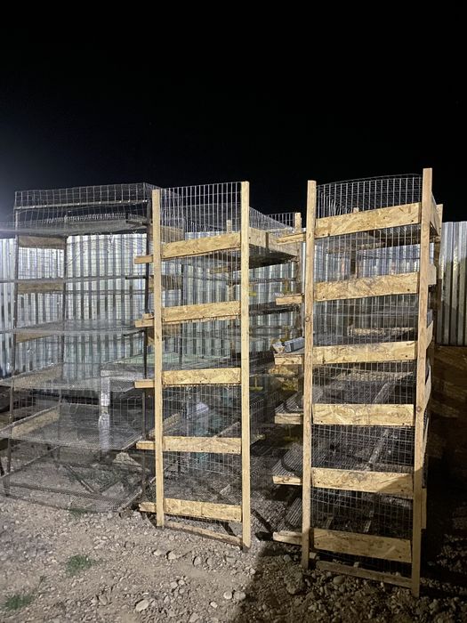 Бөдене , клеткасы сатылады .