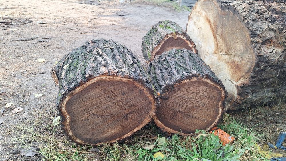 Карагач для рубки мяса