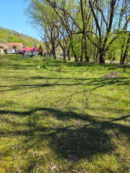 Vand teren Borod valea masca