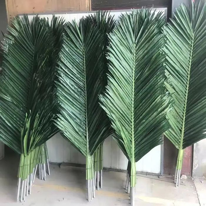 Palma barglari Палмовый листя