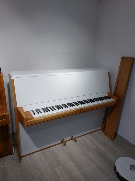 Pianina Rippen (transport gratuit, garanție)