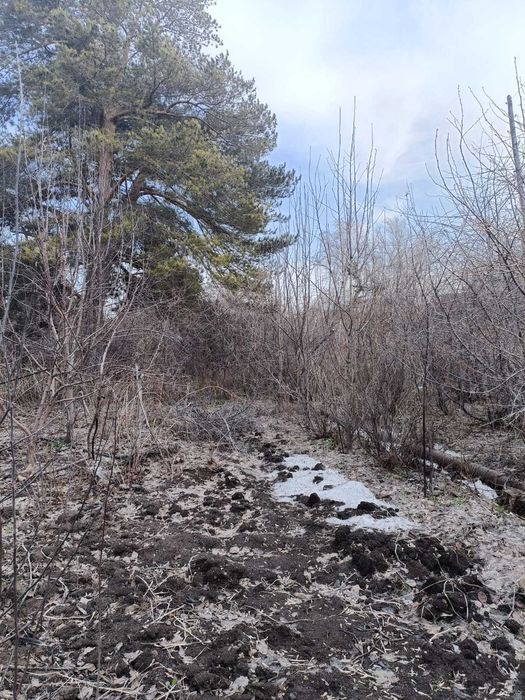 Продам дачу в обществе Мичуринец