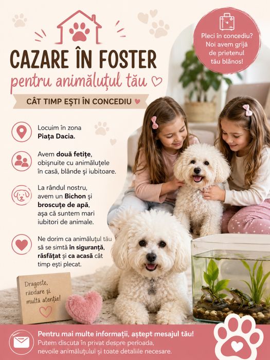 Iași, Oferim cazare în foster pentru animăluțul tău, cât timp ești în concediu